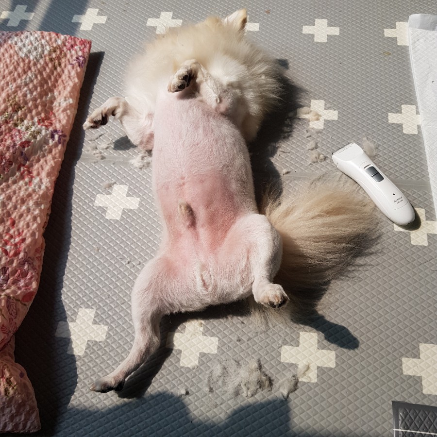 신남케어 이미지