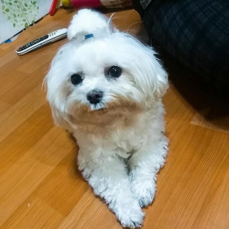 또또슈퍼 이미지