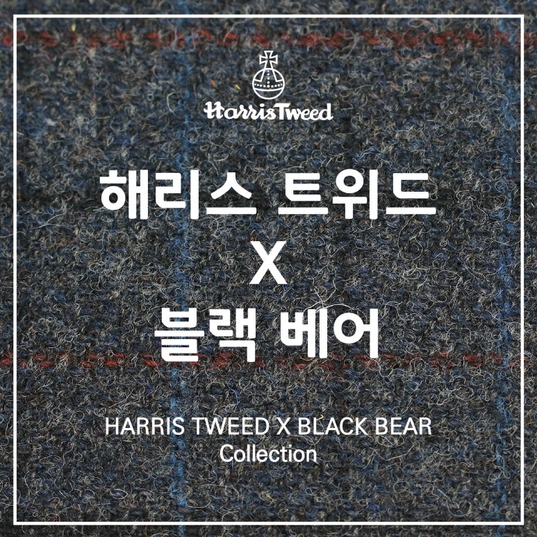 블랙베어 이미지