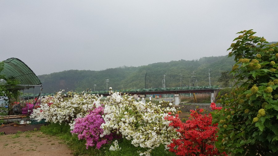 삼훈행복농원 이미지