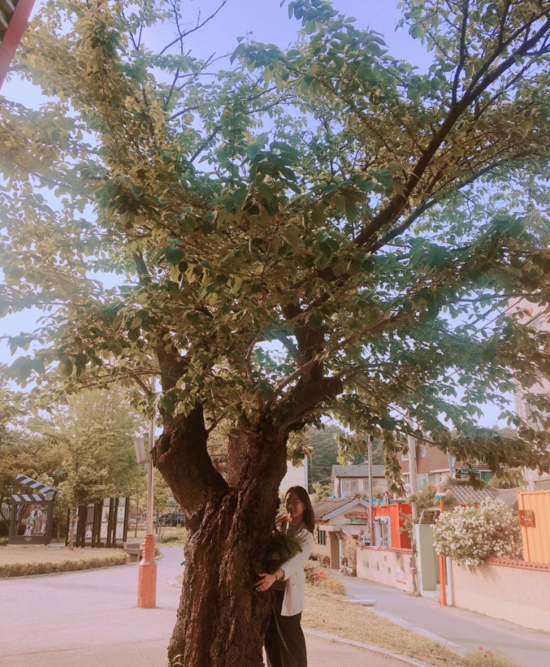 유채공방 이미지