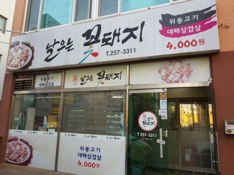 날으는꽃돼지 이미지