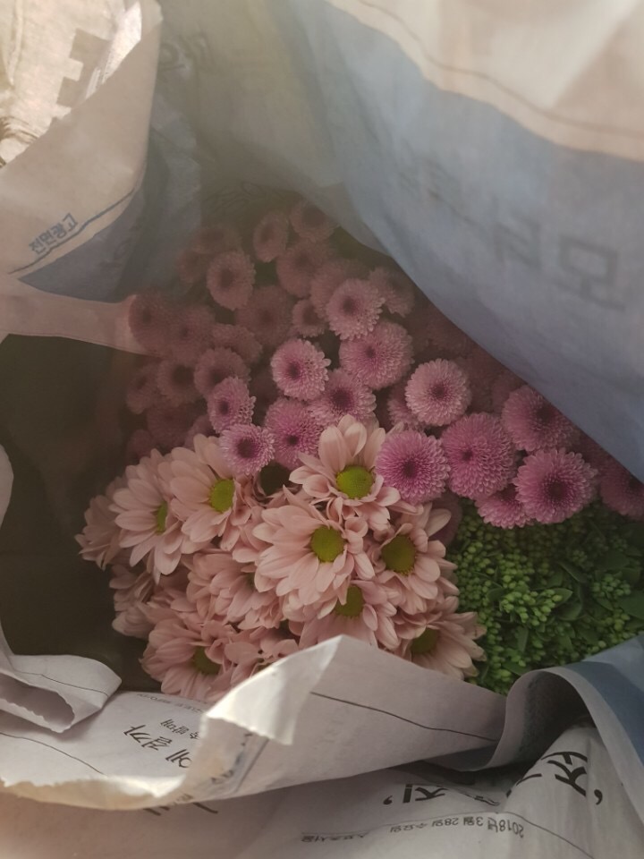 시장꽃도소매 이미지