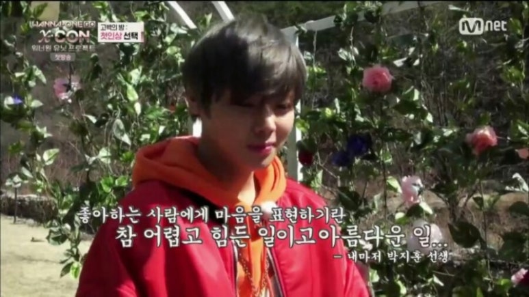 뚱시 이미지