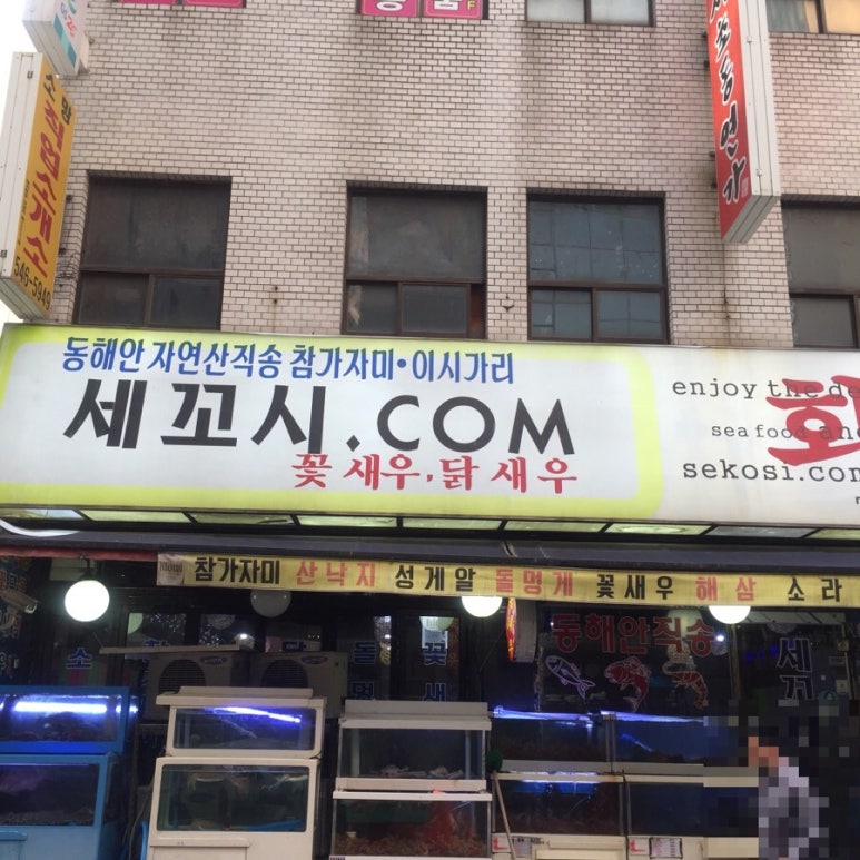 세꼬시닷컴 이미지