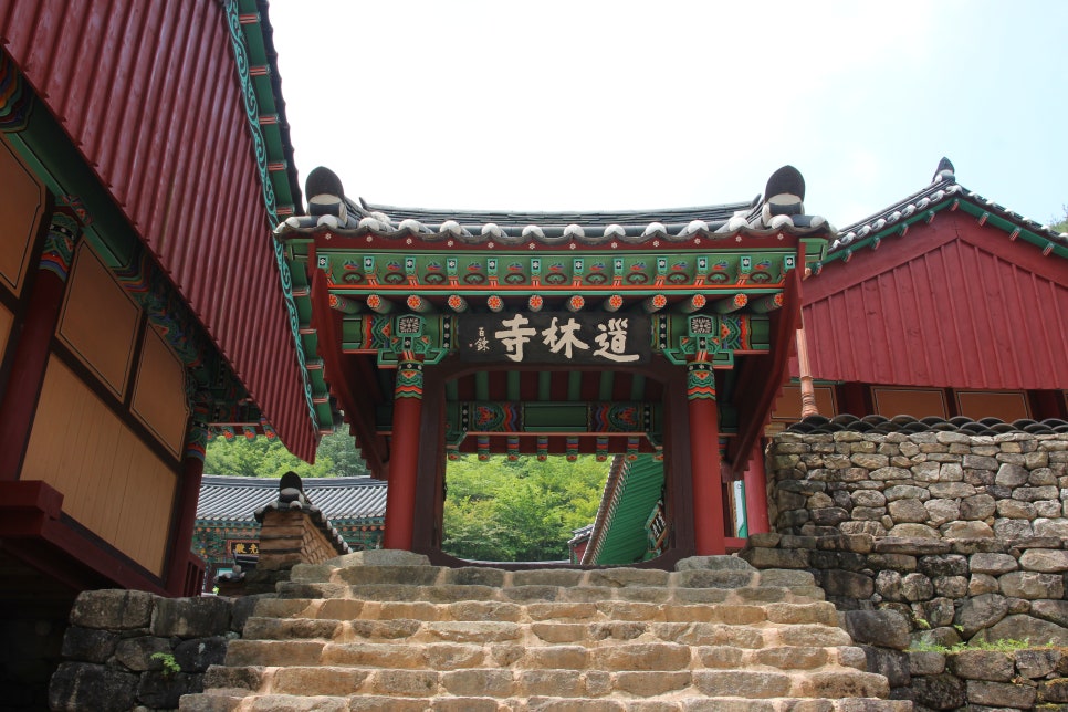 도림사오토캠핑리조트 이미지