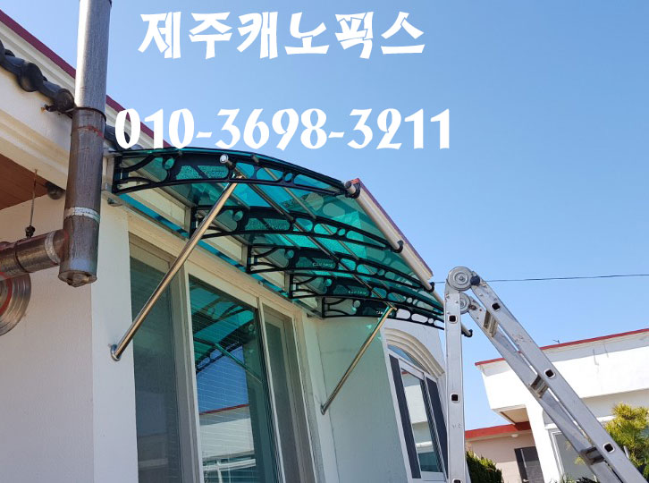 제주캐노픽스 이미지