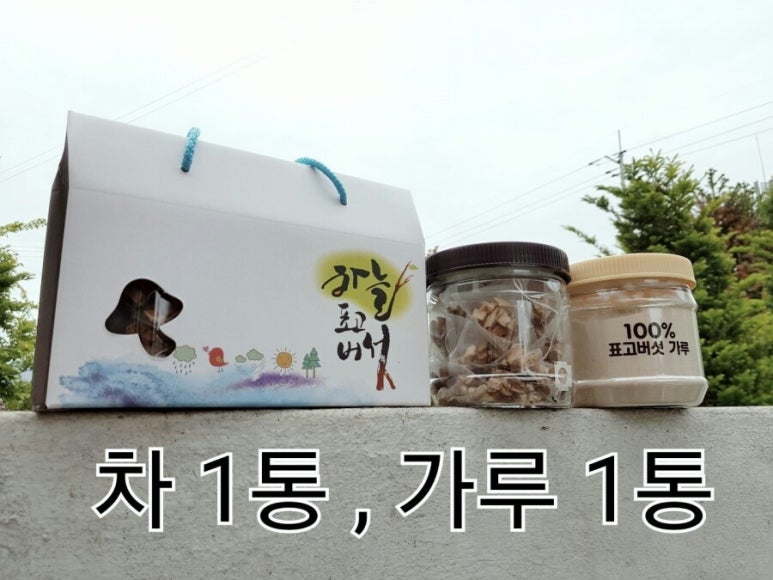 하늘표고버섯 이미지