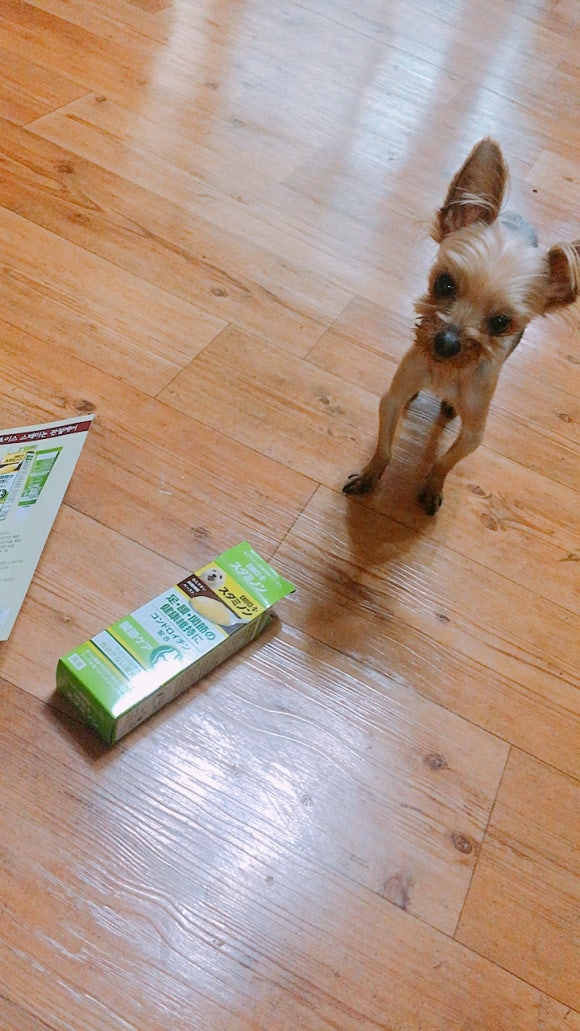 예원플러스 이미지
