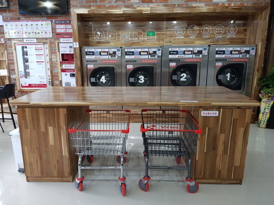 워시테리아충주 이미지