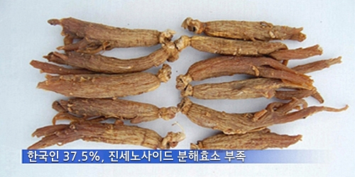 한국고려홍삼제조 이미지