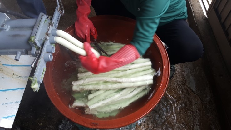 옥천떡집 이미지