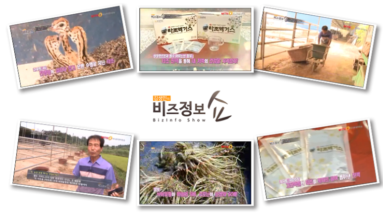 엘림타조 이미지