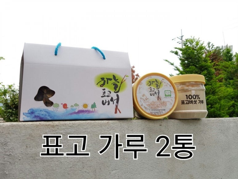 하늘표고버섯 이미지