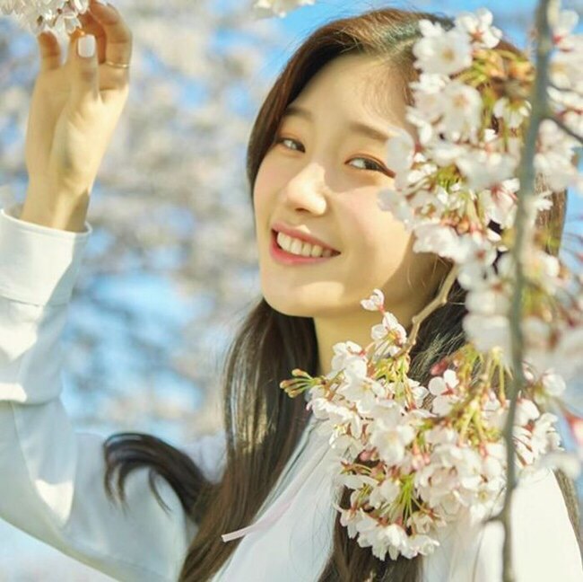 퓨어케이 이미지