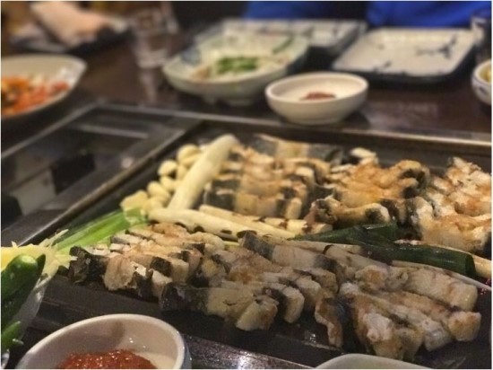 풍천민물장어 이미지