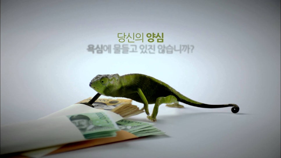 해피존 이미지
