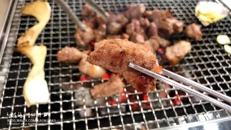 고기세상 이미지