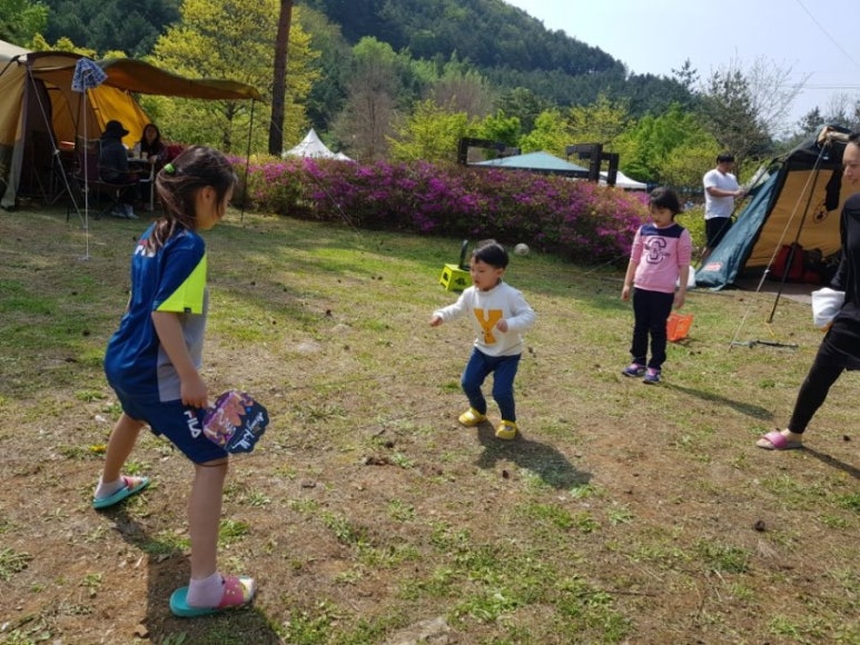 아리랑캠핑 이미지