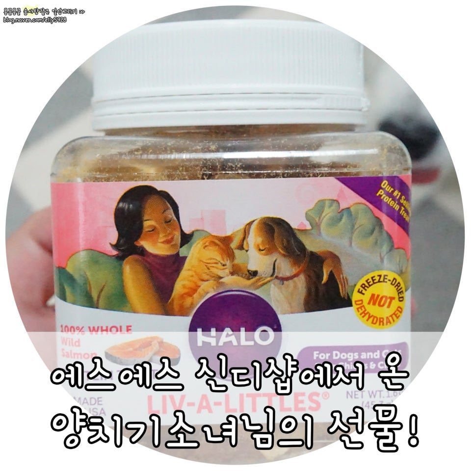 신디샵 이미지