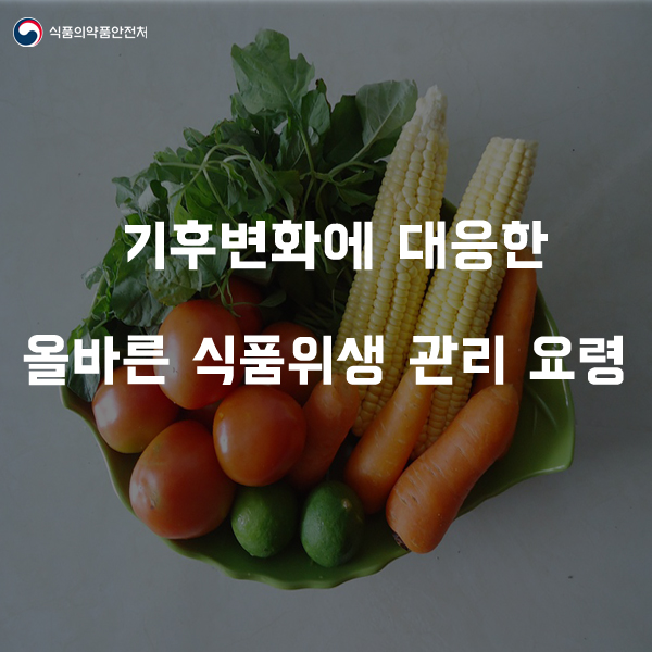 올바른식품 이미지