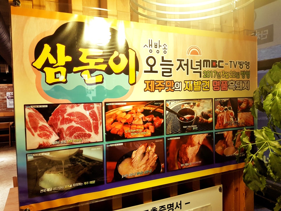 삼돈이 이미지
