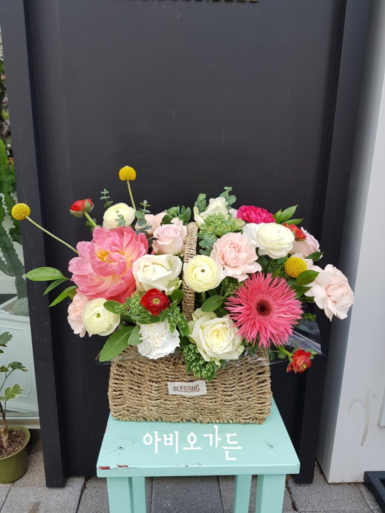 아비오가든 이미지