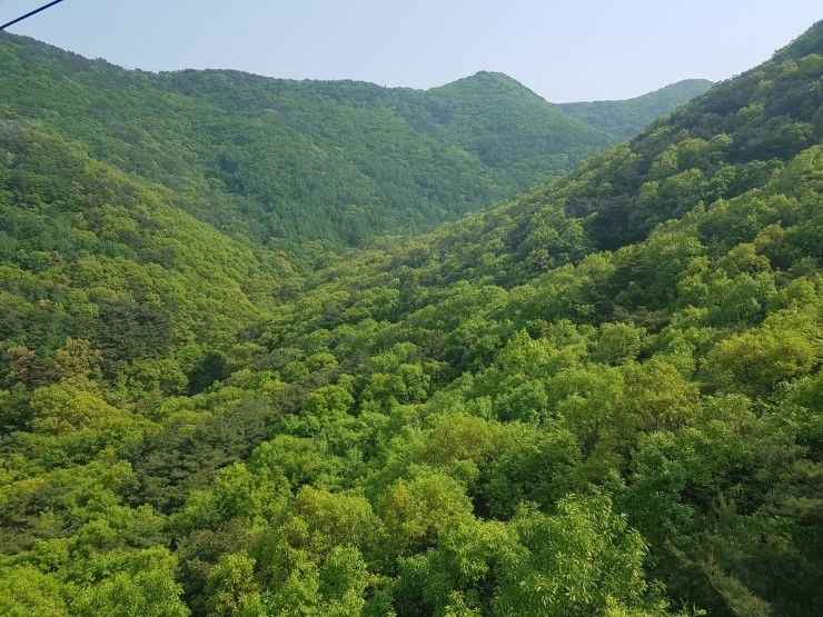 앞산공원 이미지