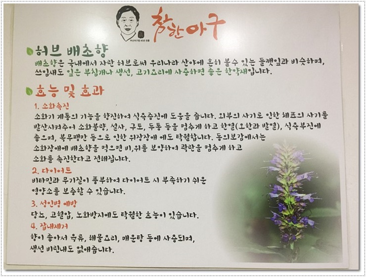 반구아구찜 이미지