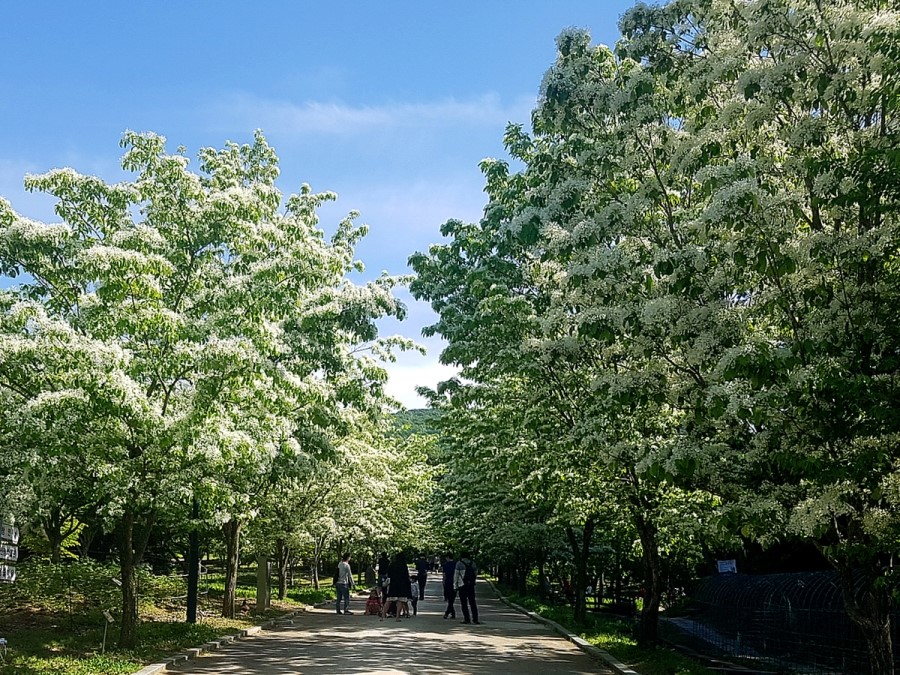 금강수목원 이미지