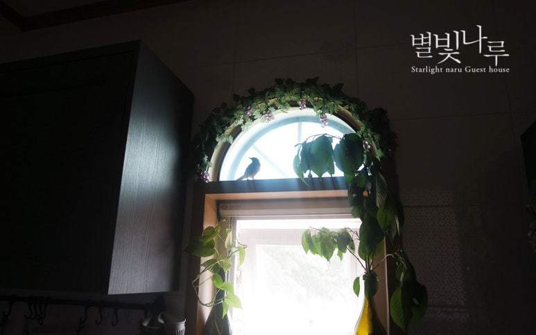 새나루펜션 이미지