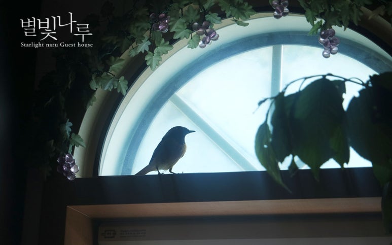 새나루펜션 이미지