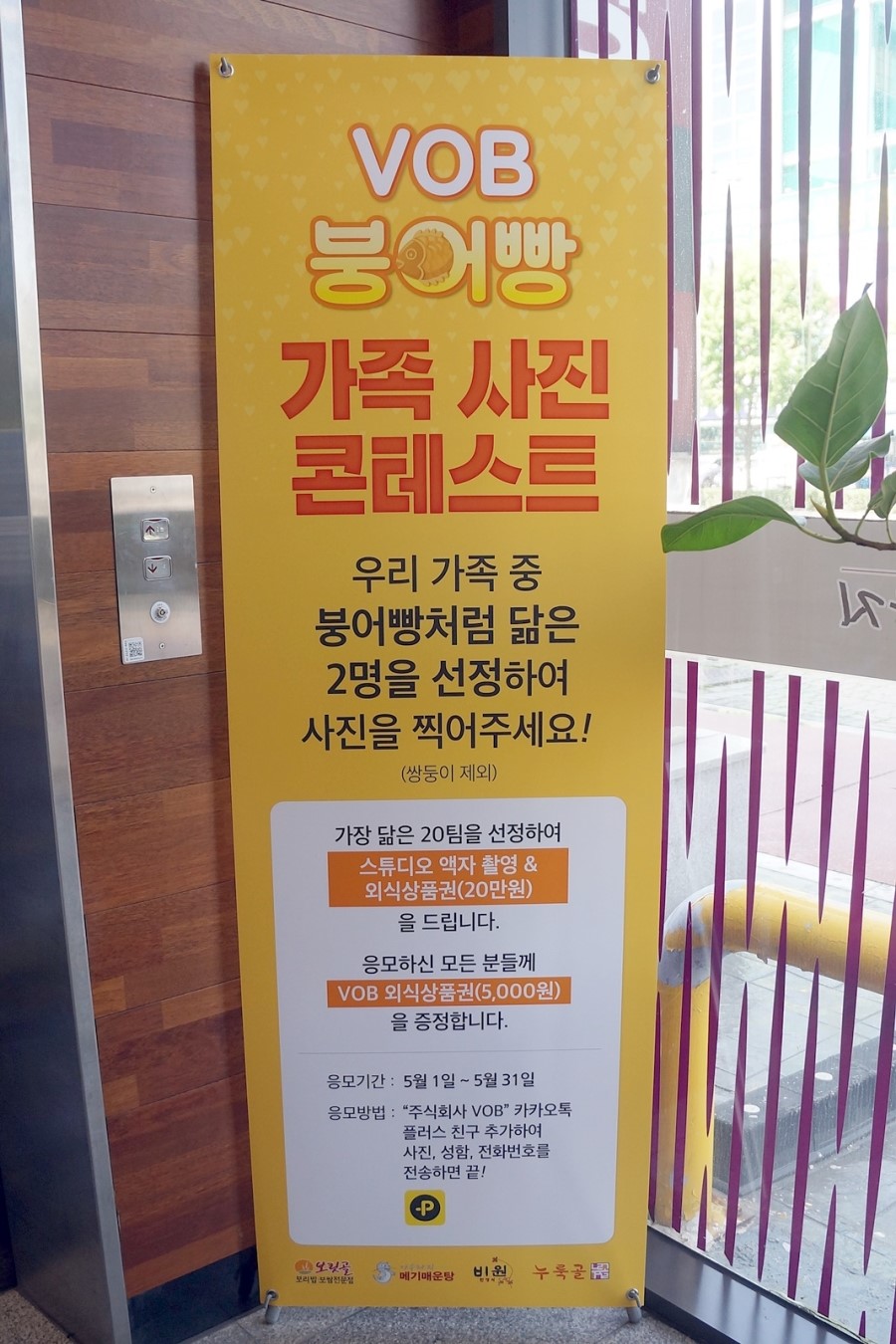 아우라지스튜디오 이미지
