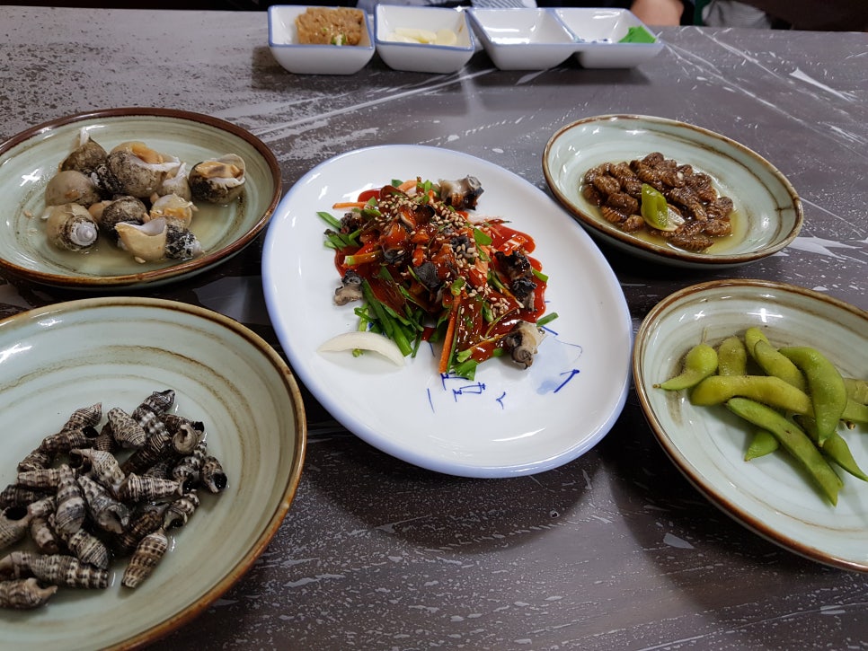 싱싱종합상사 이미지