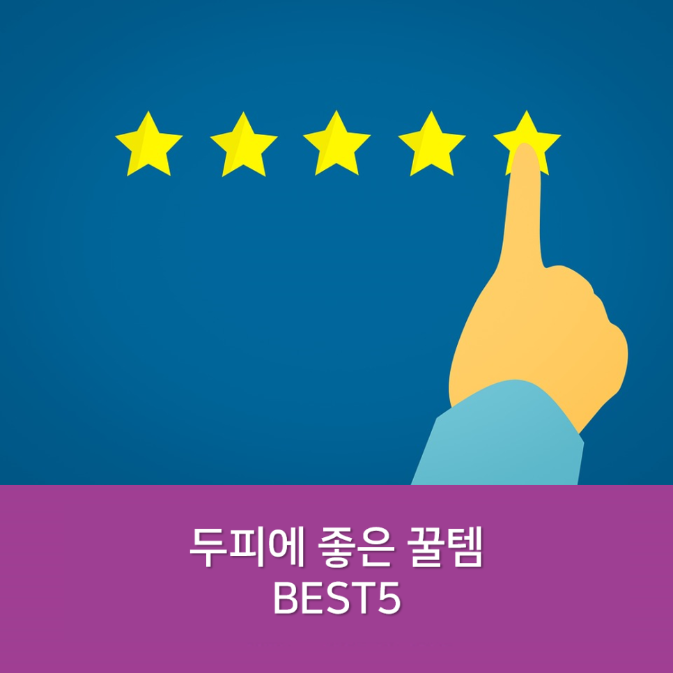 펠로살롱 이미지