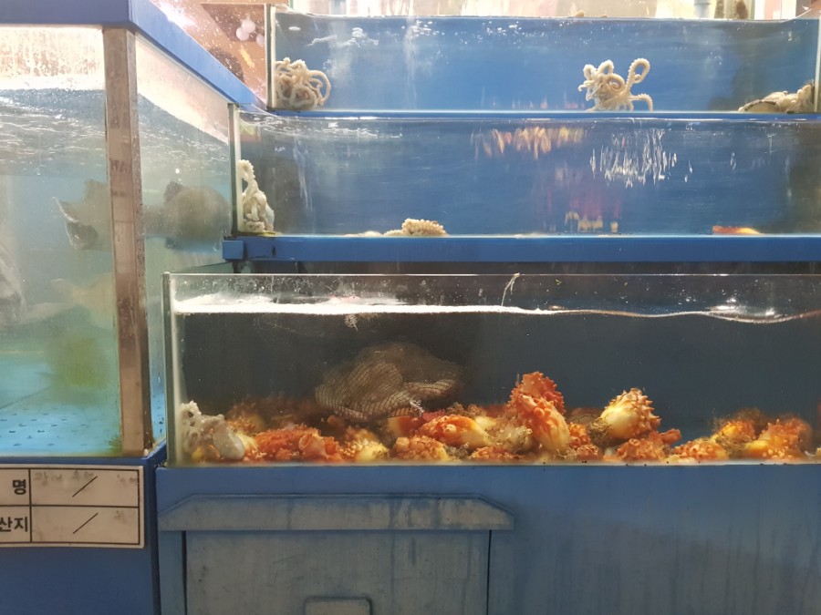 섬마을바다풍경 이미지