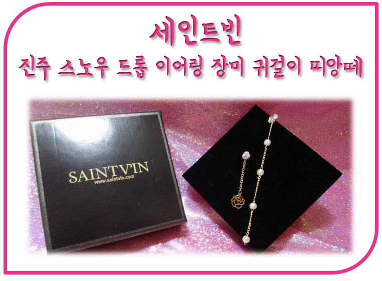 세인트빈 이미지