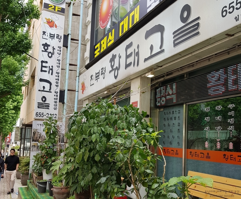 진부령황태고을 이미지
