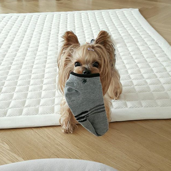 나 불러떠 이미지