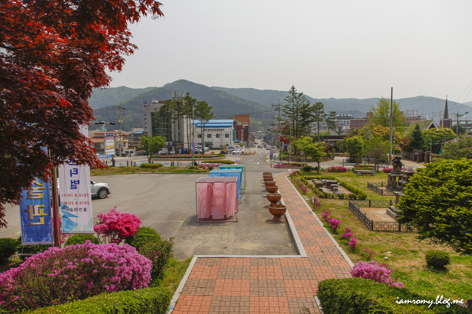 새삶 이미지