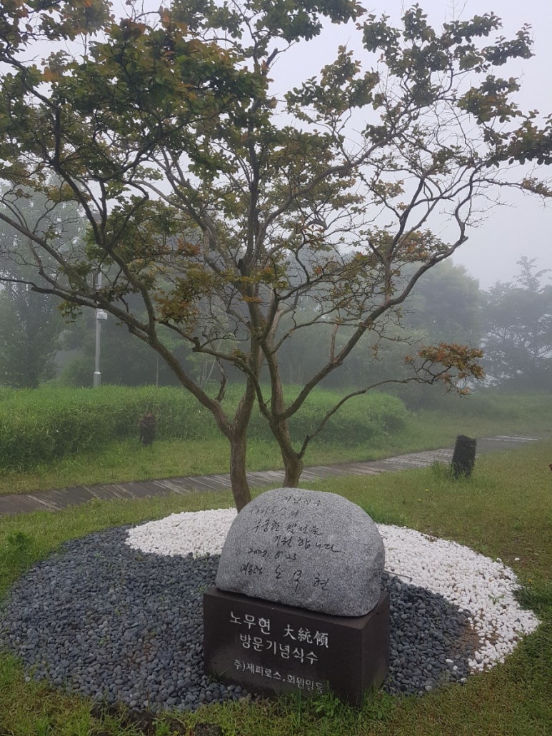 삼다오메기 이미지