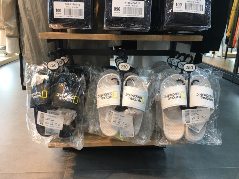 내셔널지오그래픽전주 이미지