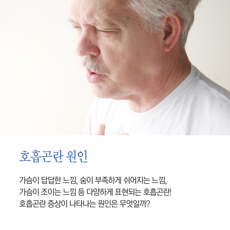 바디체인지체형교정 이미지