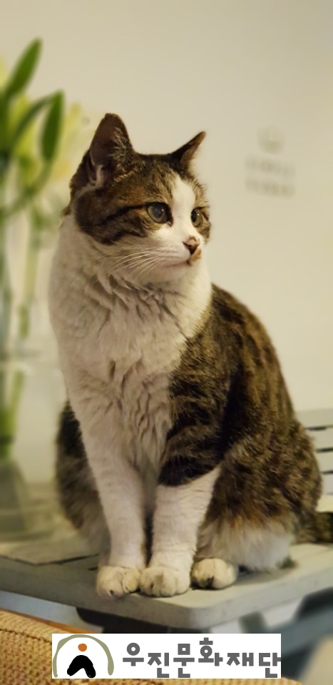 김*복 이미지