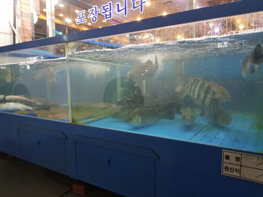 섬마을바다풍경 이미지