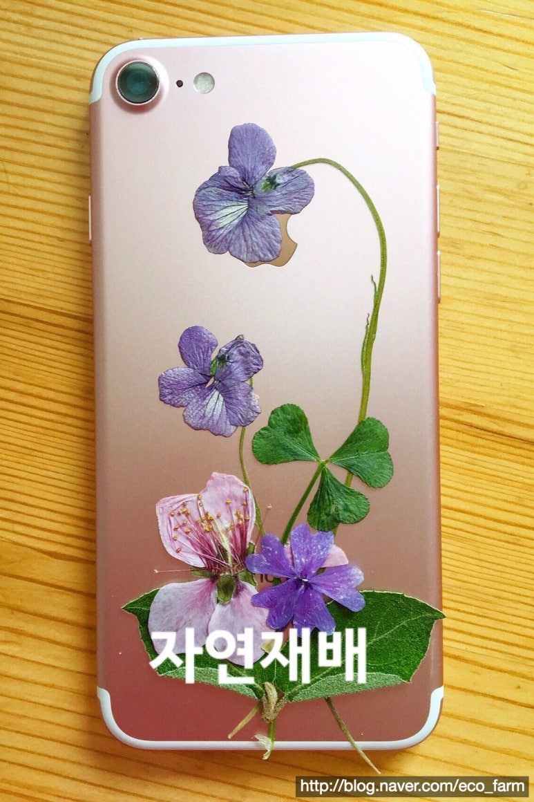 꽃을담다 이미지