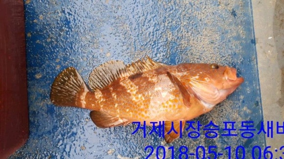(주)다호 이미지