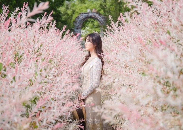 셀릭스 이미지