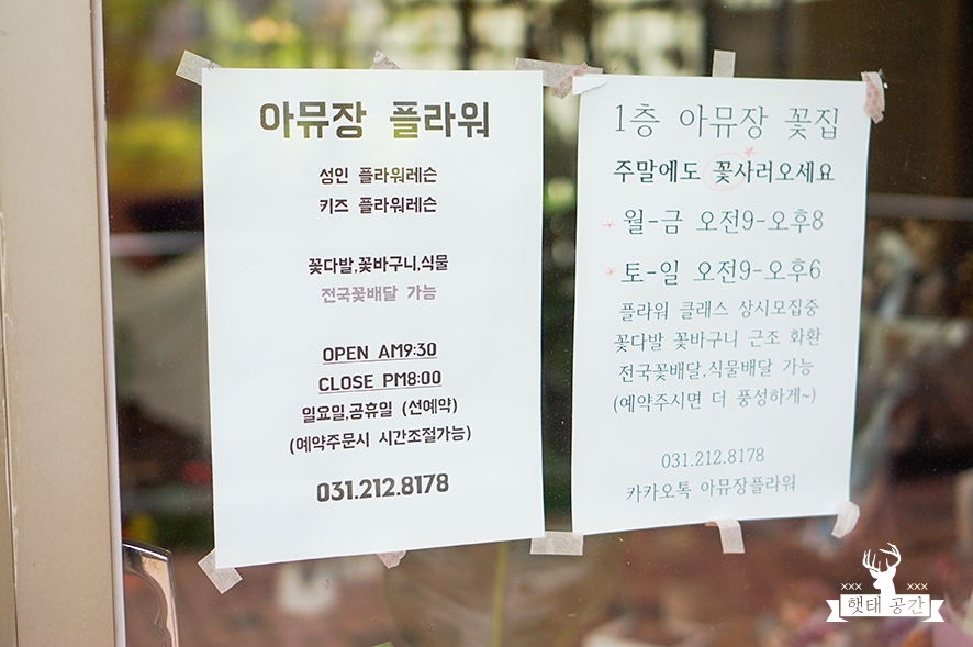 아뮤장 이미지