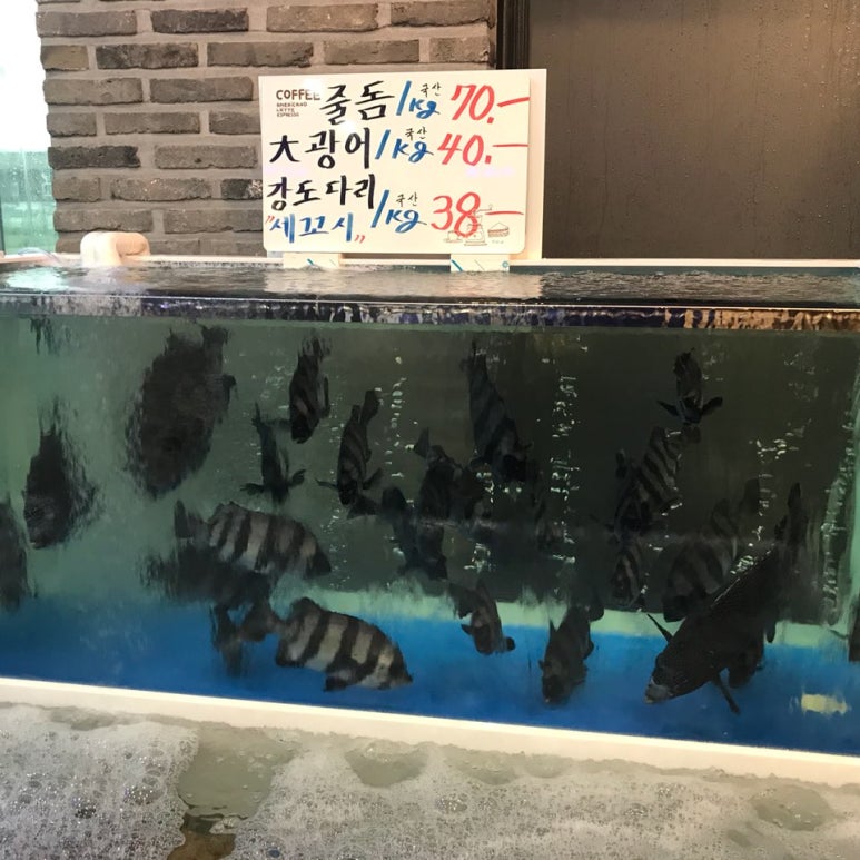 입안에바다 이미지